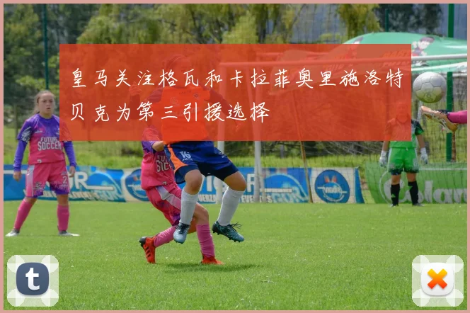皇马关注格瓦和卡拉菲奥里施洛特贝克为第三引援选择