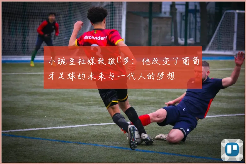 小豌豆社媒致敬C罗：他改变了葡萄牙足球的未来与一代人的梦想